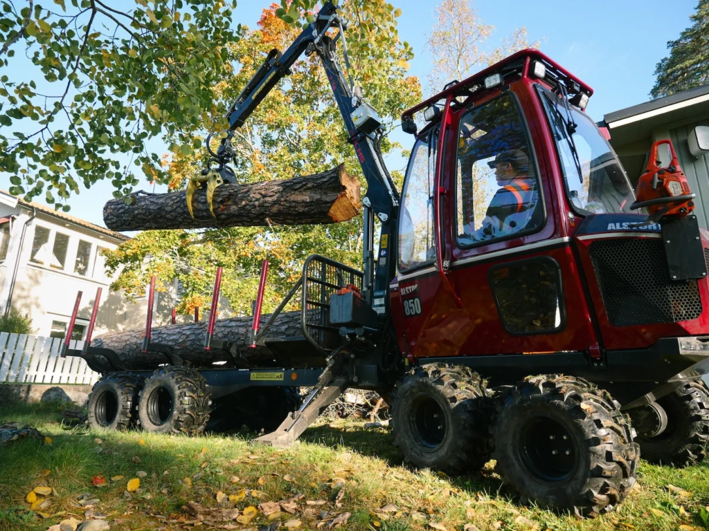 Trädfällning i Stockholm
